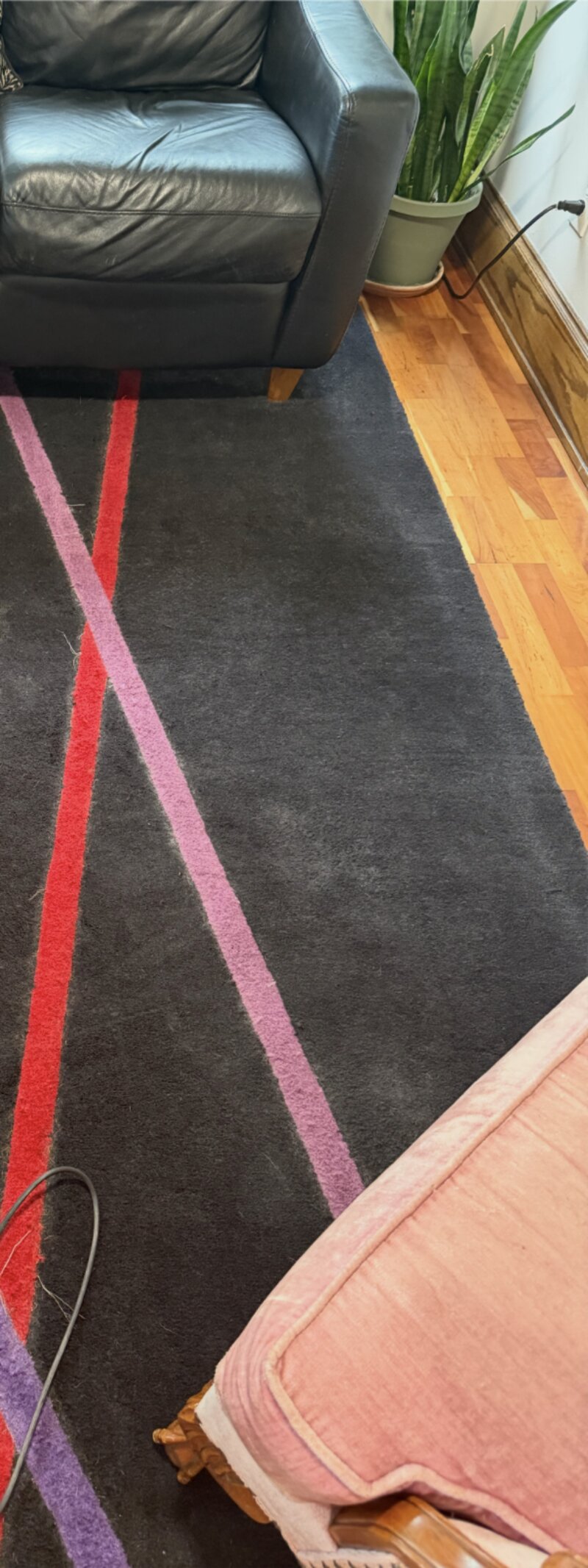Carpet after vacuuming — clean and refreshed