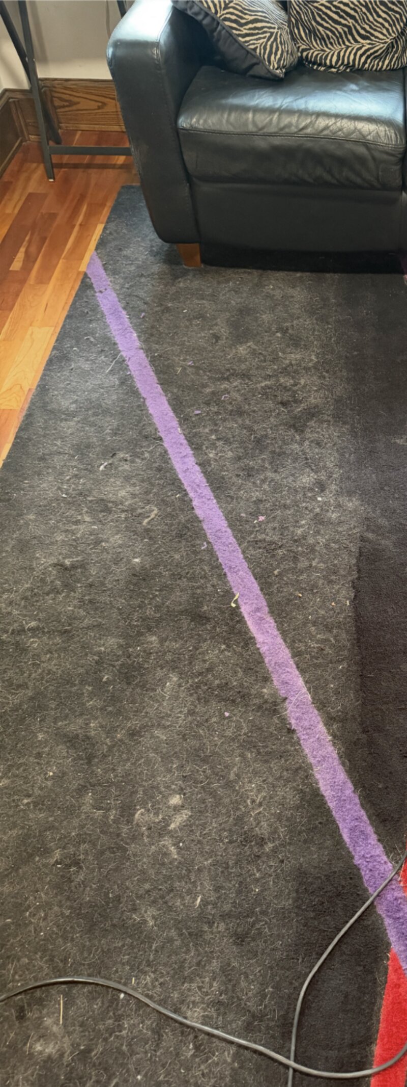 Carpet before vacuuming — covered in lint and pet hair