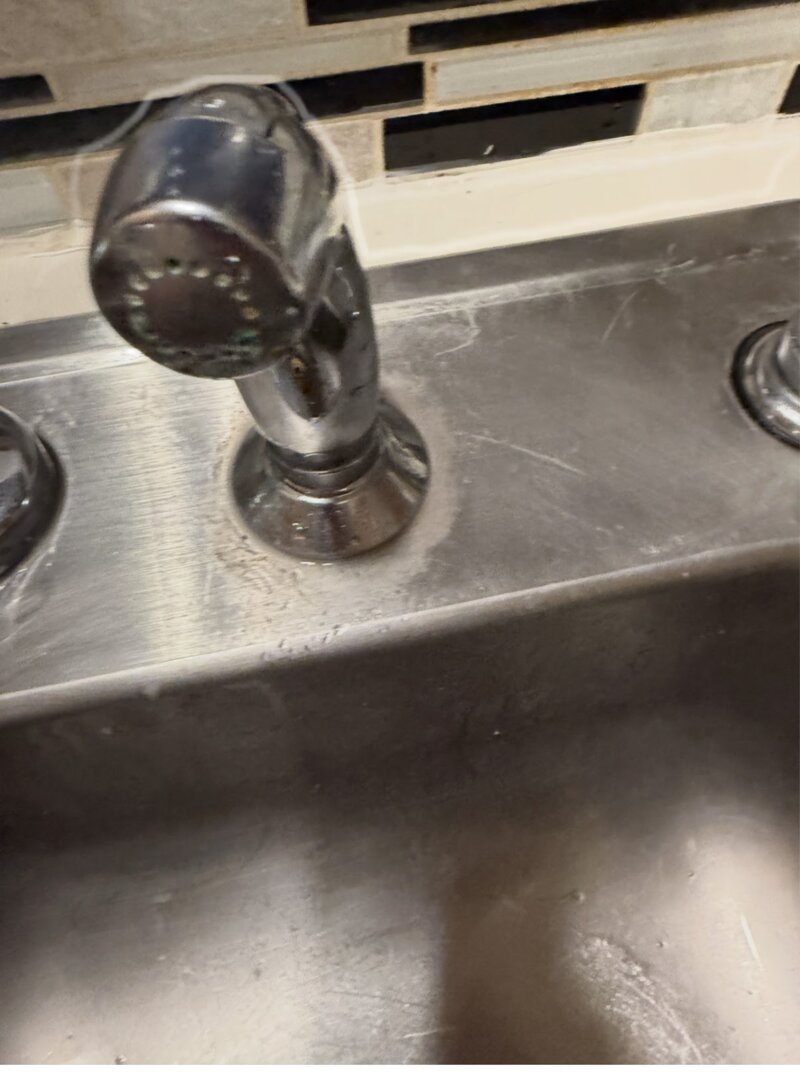 Sink sprayer before cleaning — grime and water buildup