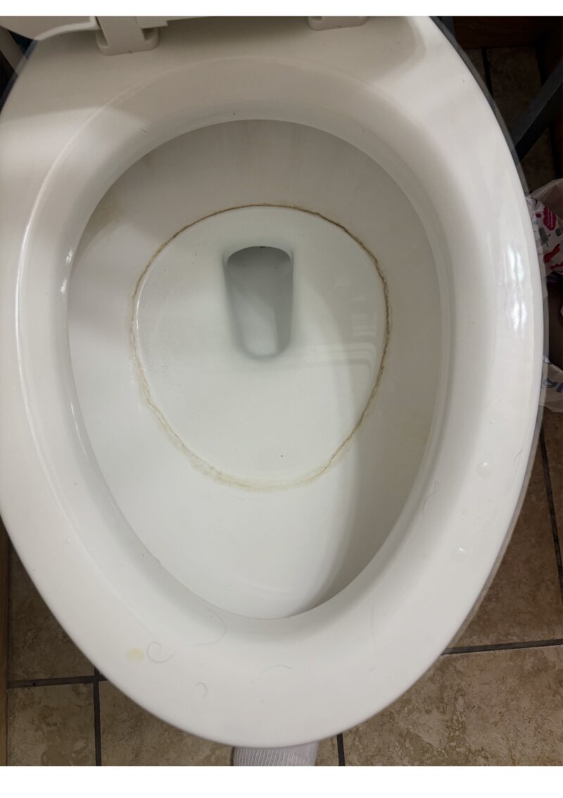 Toilet bowl before cleaning — mineral stains and ring