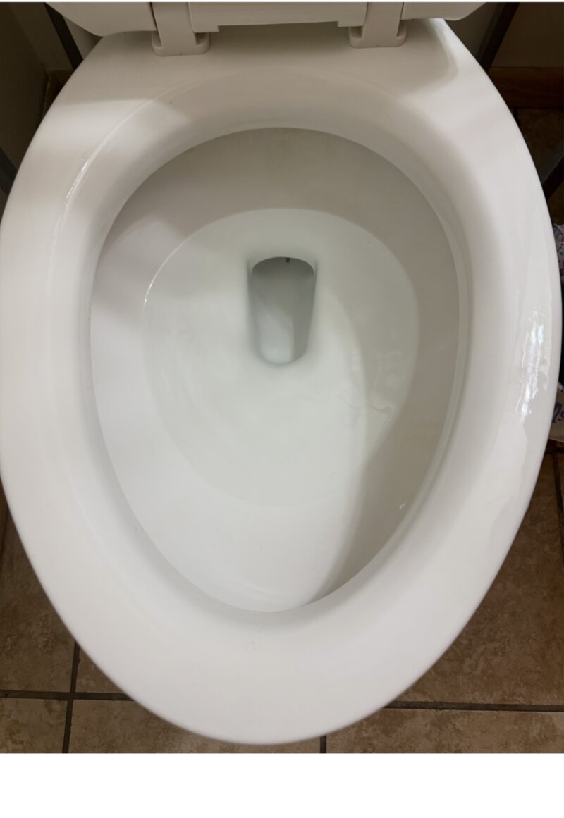 Toilet bowl after cleaning — spotless white
