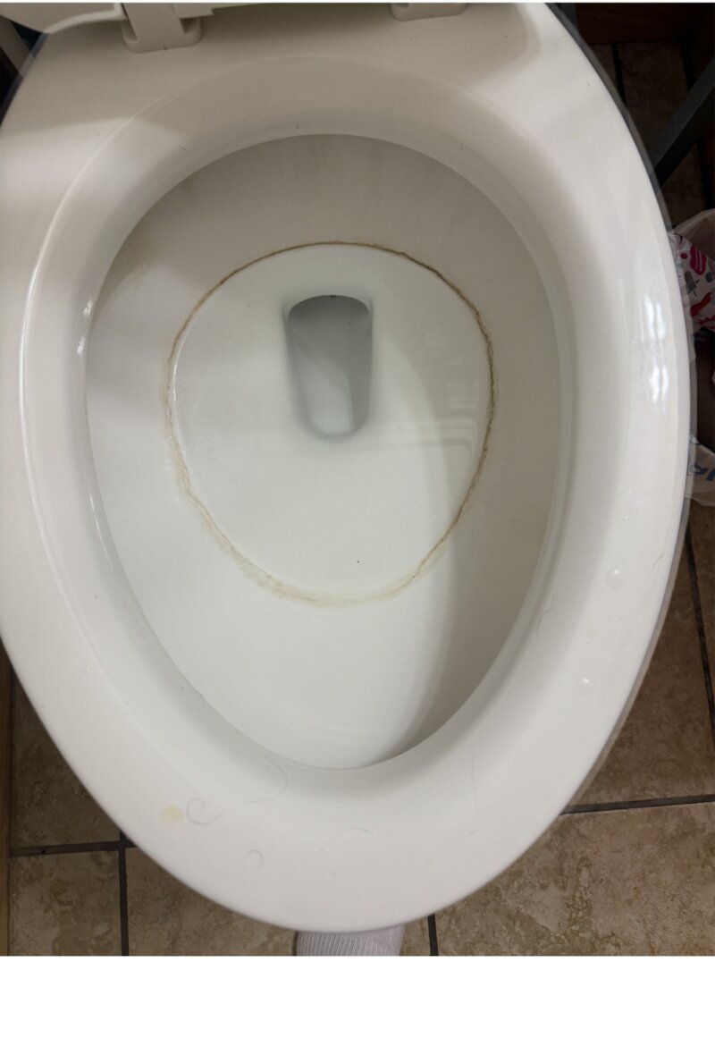 Toilet bowl before cleaning — mineral stains and ring